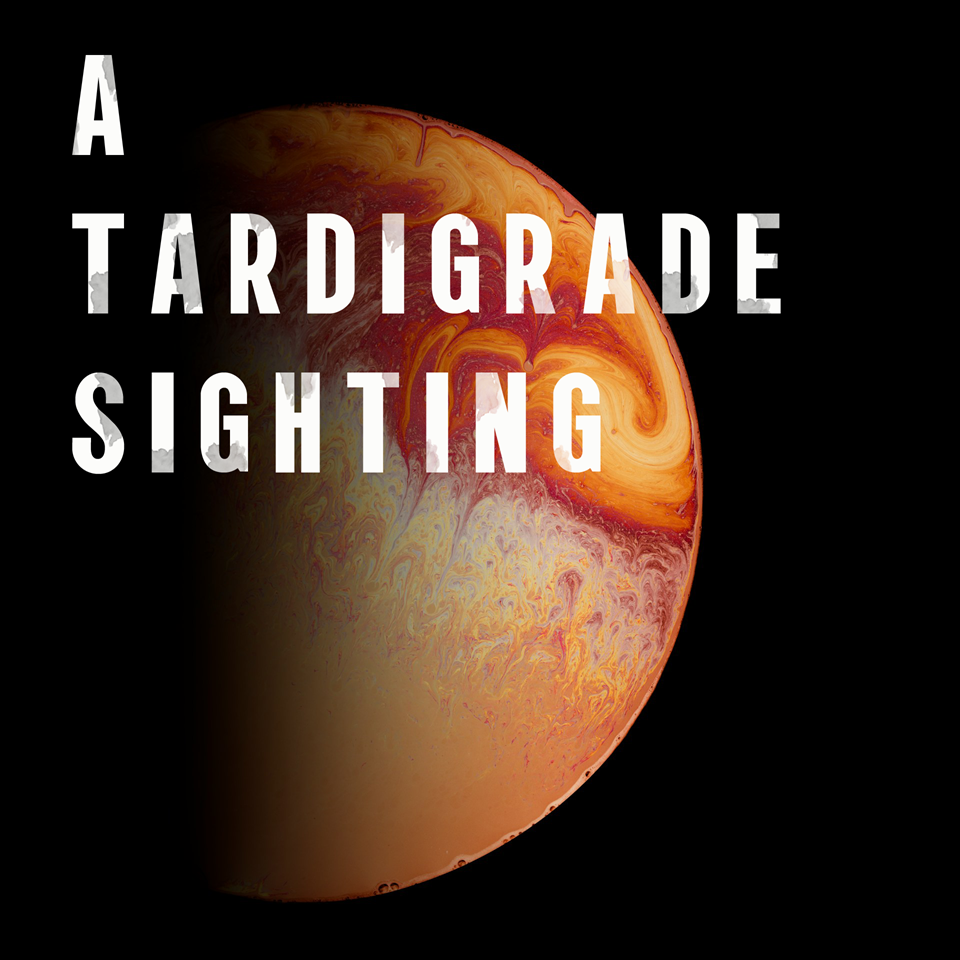 A Tardigrade Sighting