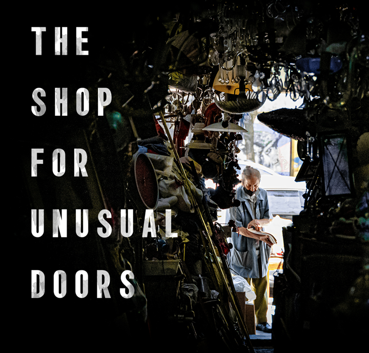 The Shop for Unusual Doors